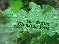 Columbus Gutter Cleaning